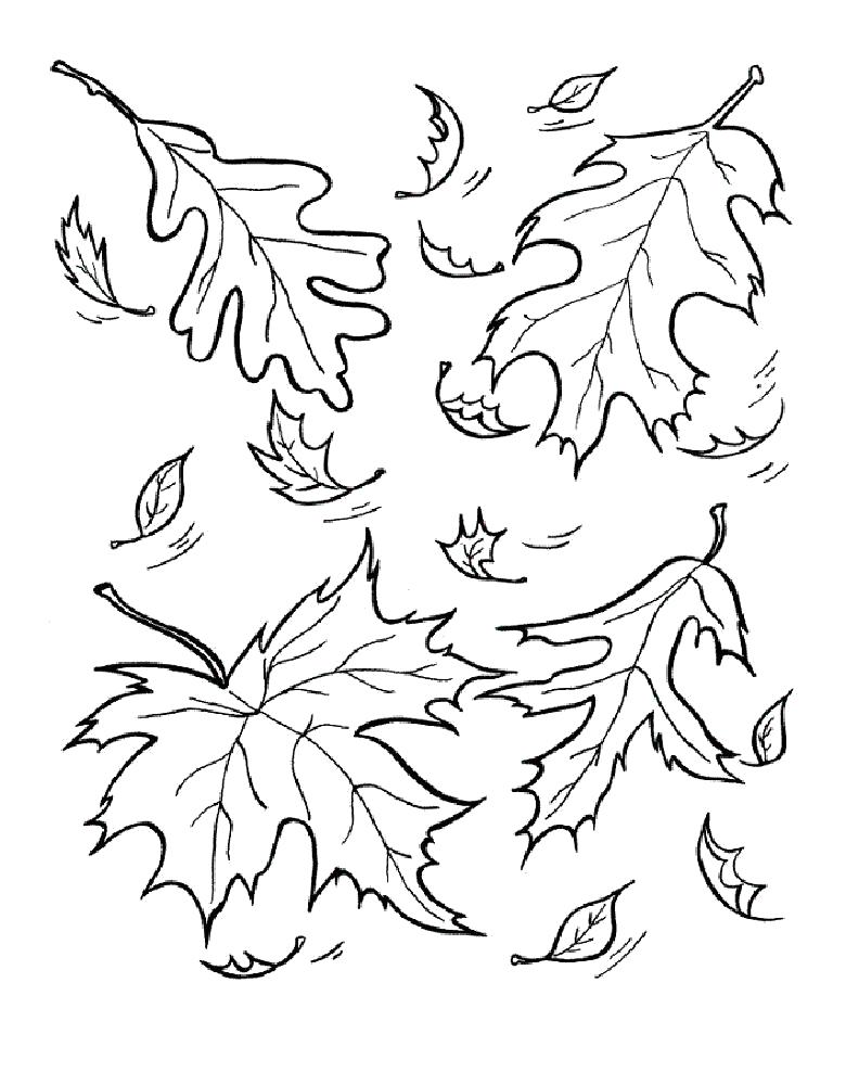 Раскраска Раскраска осенние листья. растения