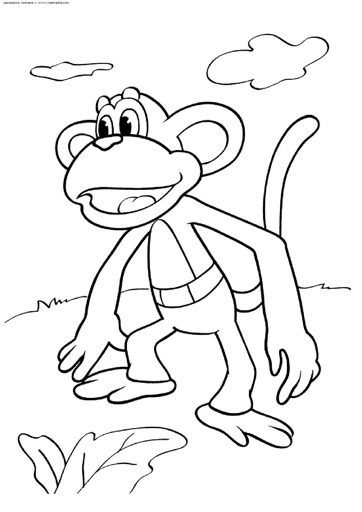 Название: Раскраска Раскраска Обезьянка. . Категория: Дикие животные. Теги: обезьяна.