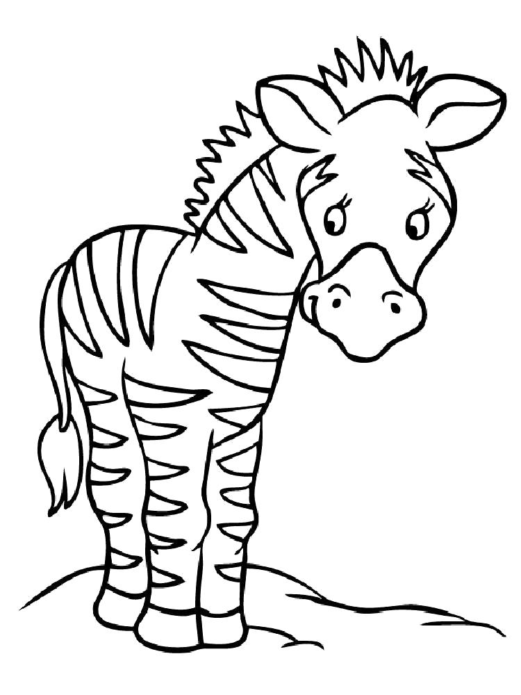 Название: Раскраска Раскраска зебра. Категория: Дикие животные. Теги: зебра.