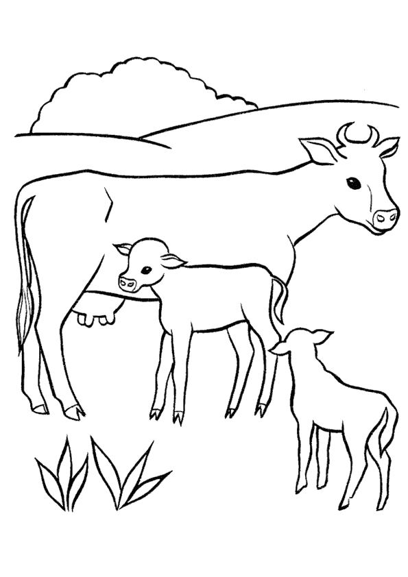 Раскраска В деревне у бабушки. . Корова с телятами. Скачать Корова, Теленок.  Распечатать Домашние животные