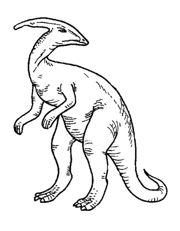 Раскраска Раскраски динозавры. динозавр