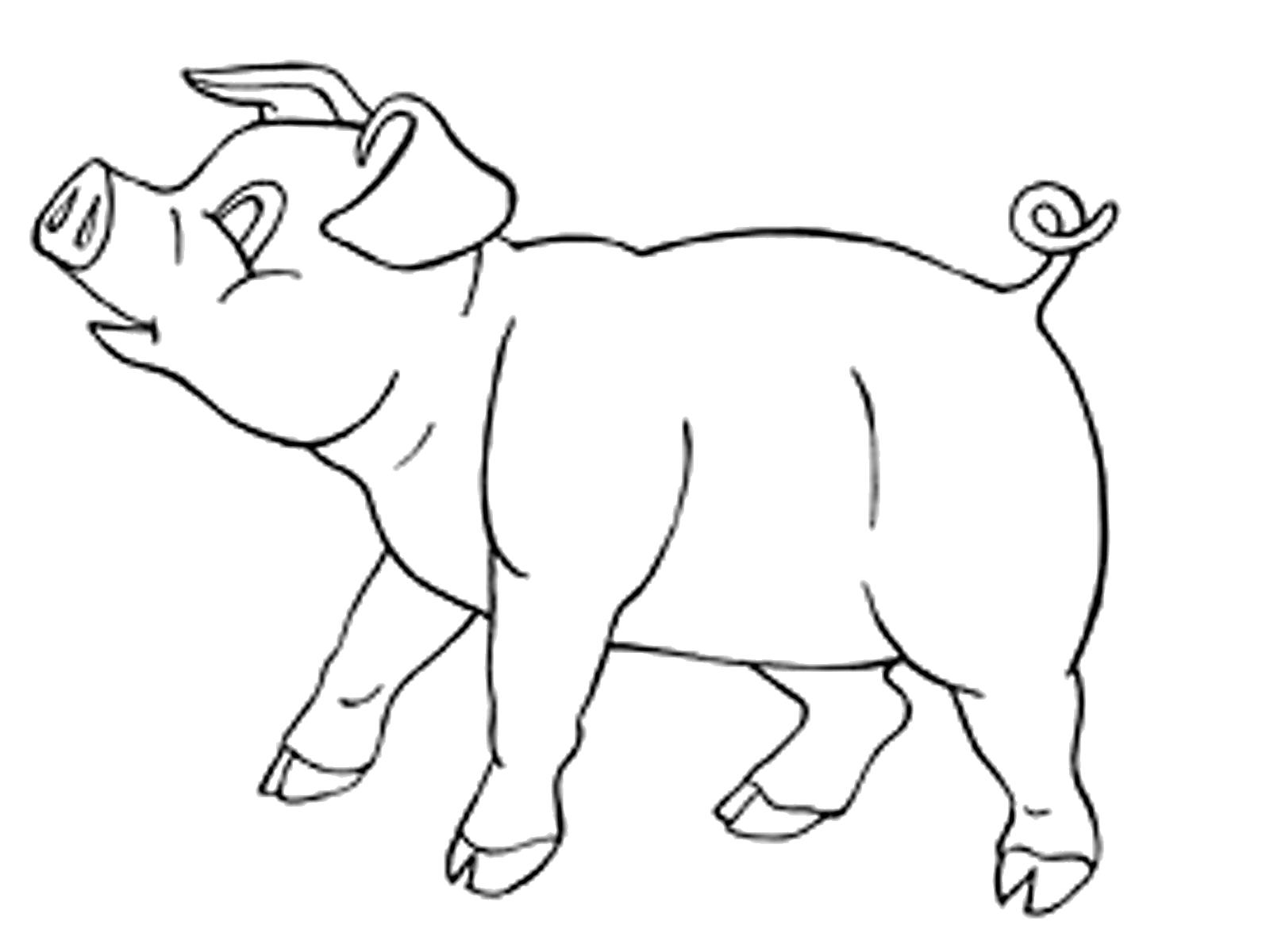 Название: Раскраска Раскраски домашние животные поросенок. Категория: Домашние животные. Теги: Свинья.