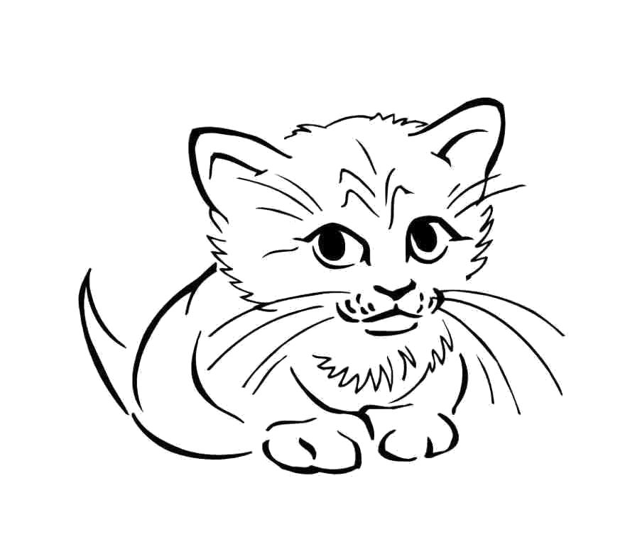 Название: Раскраска Котёночек. Категория: Домашние животные. Теги: кошка, Котенок.