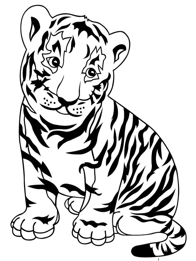 Раскраска Зоопарк Скачать или распечатать раскраску, тигренок Раскраски распечатать. Дикие животные