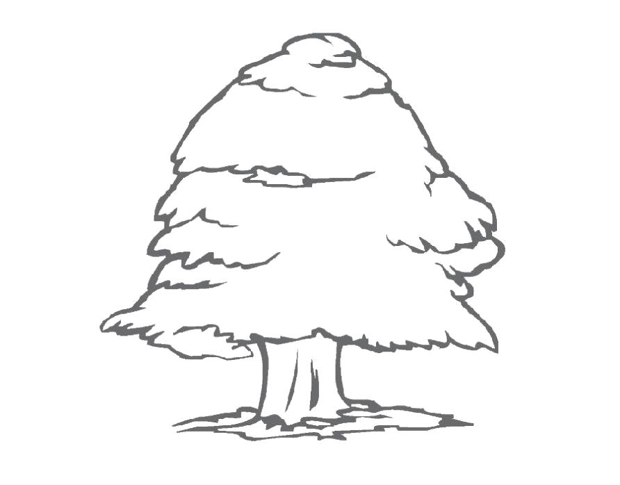 Название: Раскраска Раскраска дерево ребенку. Категория: растения. Теги: дерево.