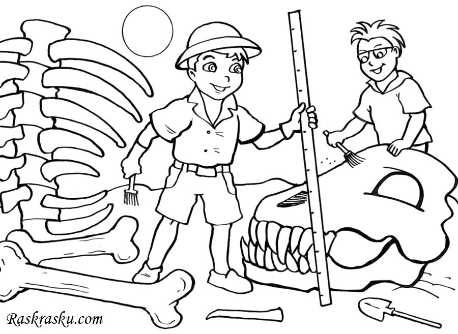 Раскраска Археолог, профессия археолог, мальчики нашли динозавра. 