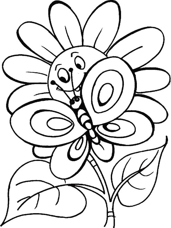 Название: Раскраска Бабочка и ромашка. Категория: Насекомые. Теги: Бабочки.