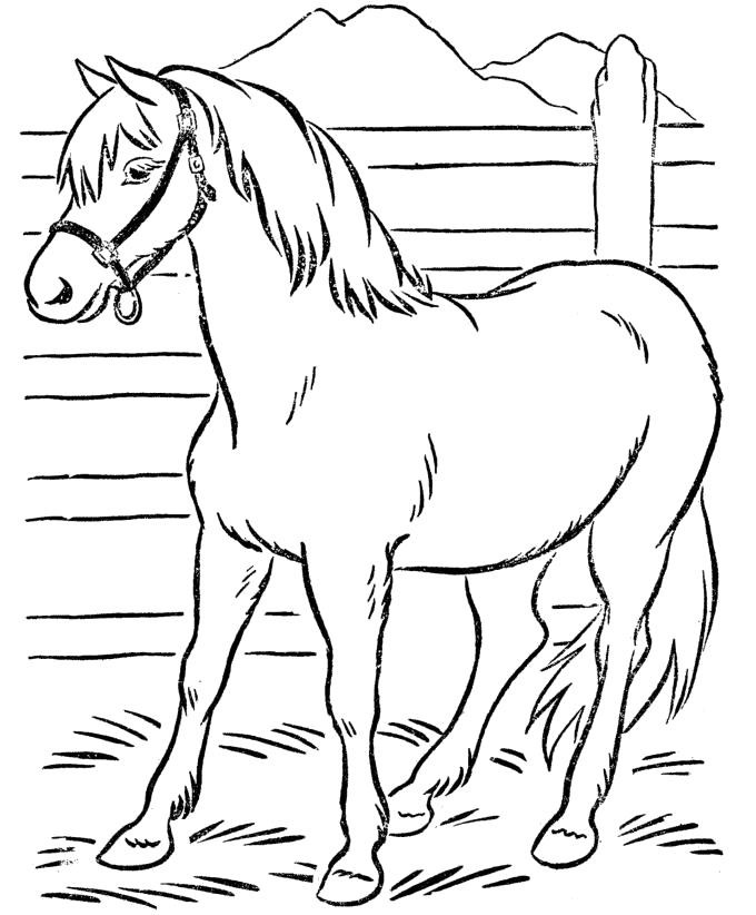 Раскраска Лошадь в загоне. Домашние животные