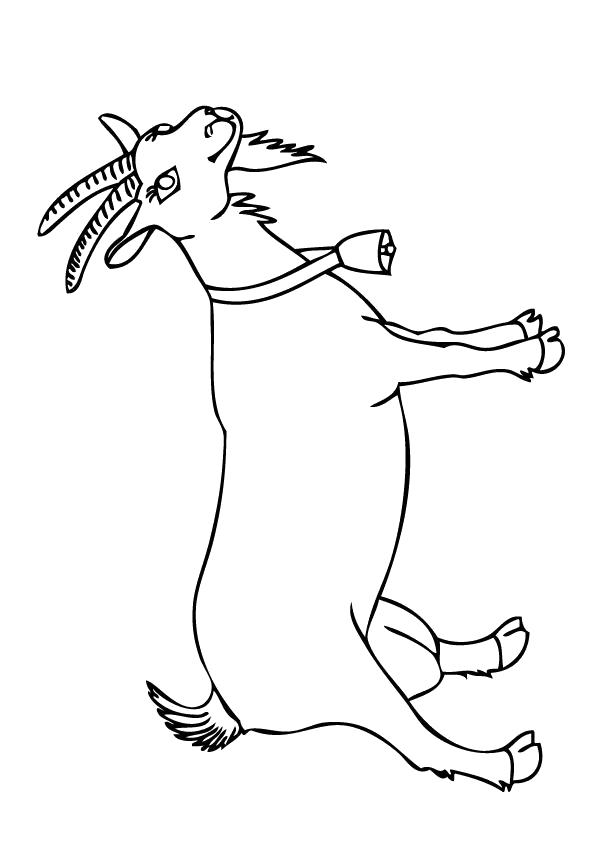 Название: Раскраска Раскраска Коза. Категория: Домашние животные. Теги: Коза.