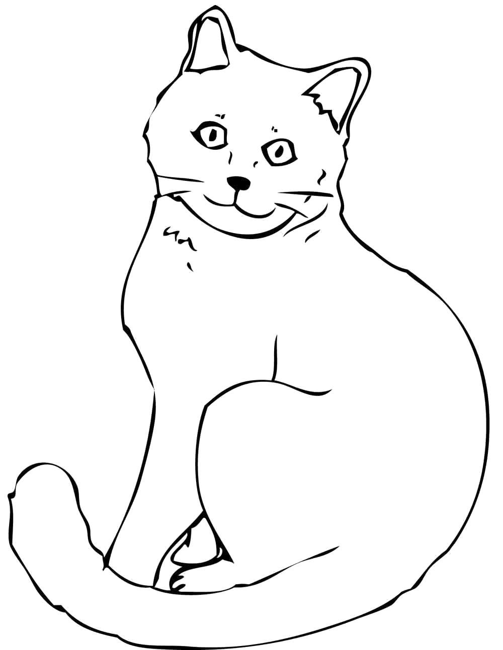 Название: Раскраска  кошка обычная. Категория: Домашние животные. Теги: кошка.