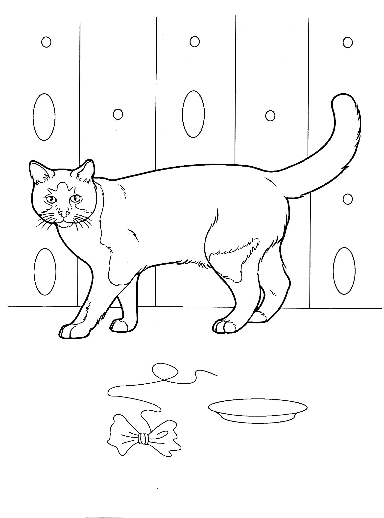 Название: Раскраска Раскраски котята. Категория: Домашние животные. Теги: кошка.