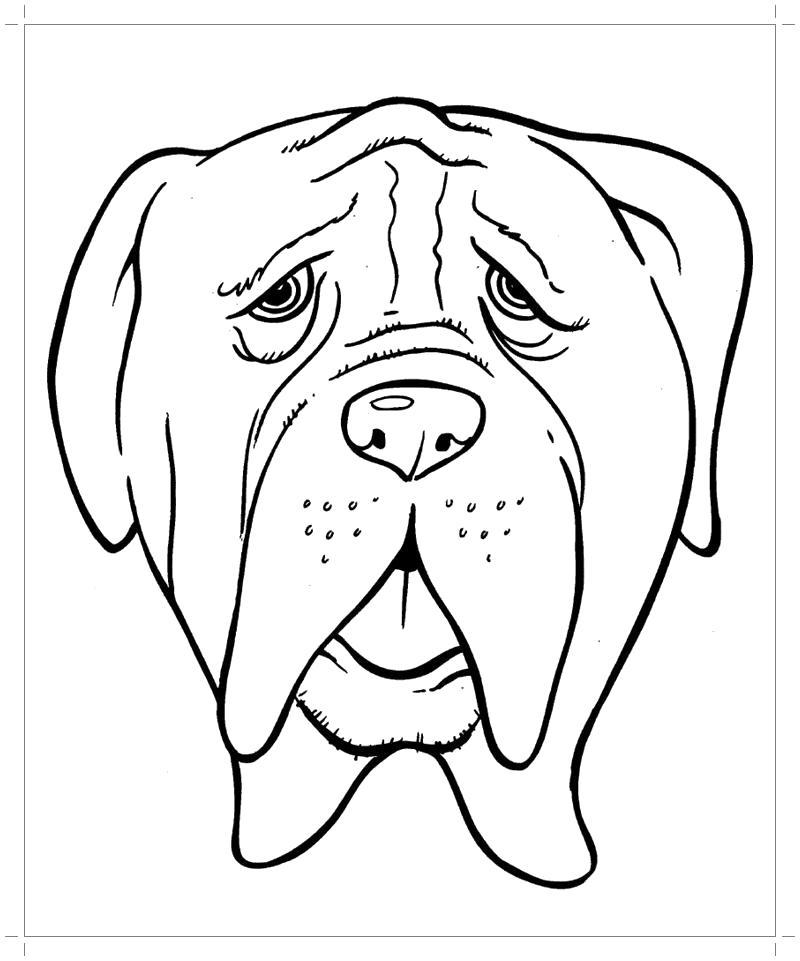 Раскраска Морда собаки раскраска. Собаки
