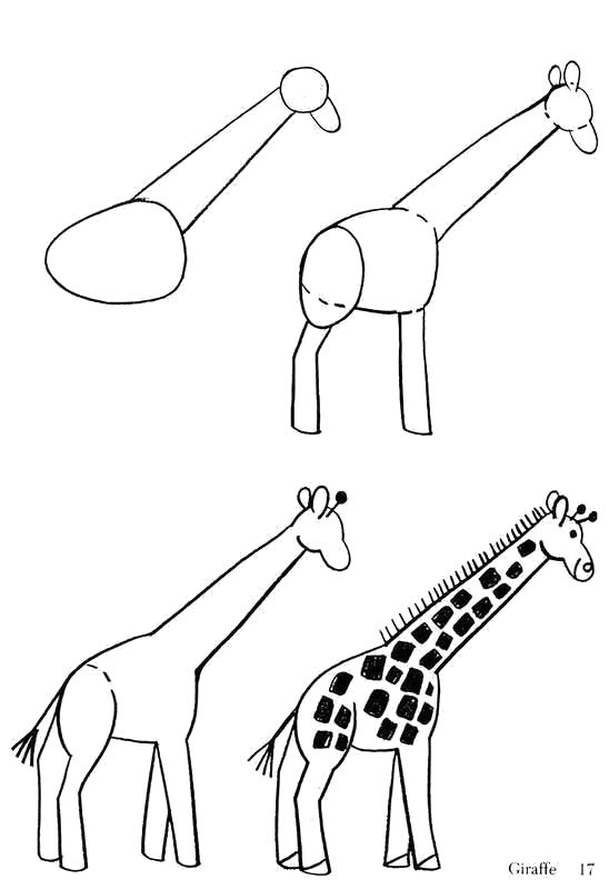 Раскраска Жираф. Скачать как нарисовать.  Распечатать Учимся рисовать