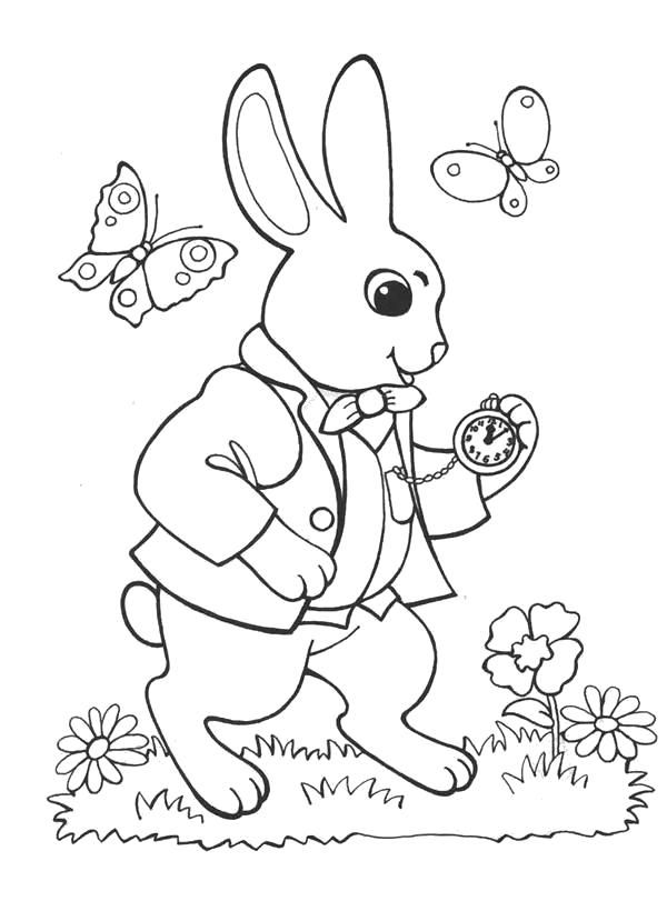 Название: Раскраска Кролик -заяц. Категория: Домашние животные. Теги: Заяц.