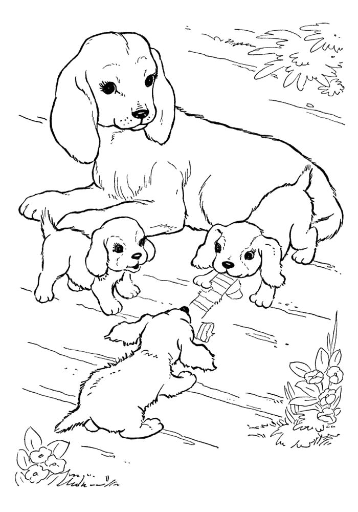 Раскраска Раскраски собаки и щенки . Домашние животные