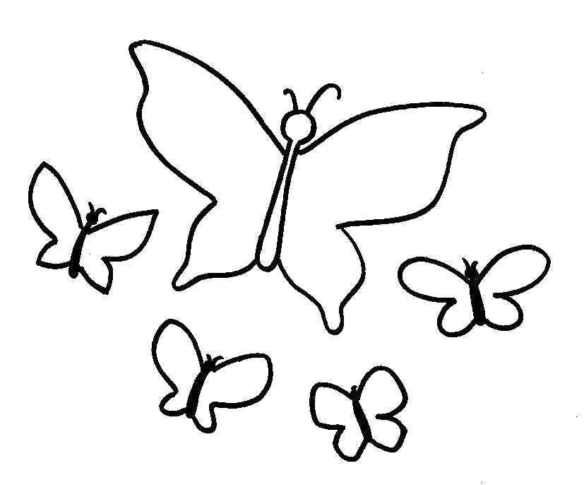 Раскраска бабочки для вырезания. Бабочки