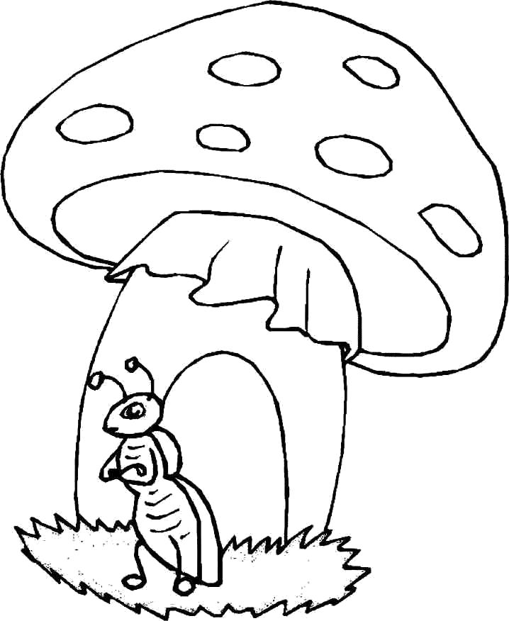 Раскраска гриб и муровей. растения