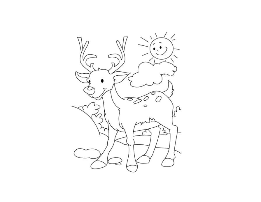 Название: Раскраска Молодой олененок гуляет, олененок с пятнышками. Категория: Олень. Теги: Олень.