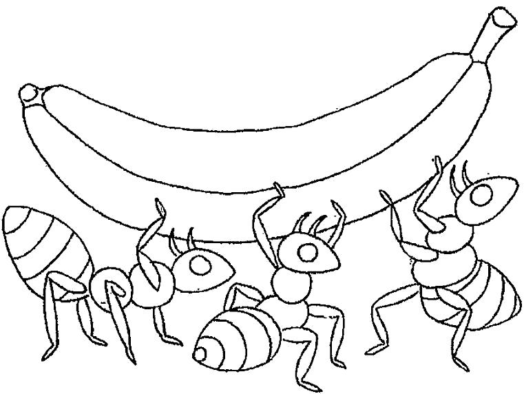 Раскраска сильные муравьи несут банан поднимают тяжесть. Муравей