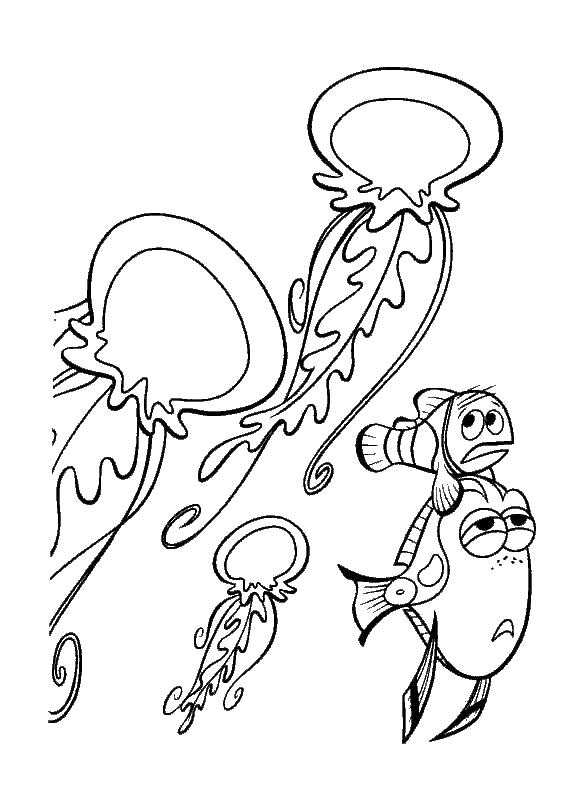 Раскраска медузы немо и дорри. Скачать в поисках Немо.  Распечатать в поисках Немо