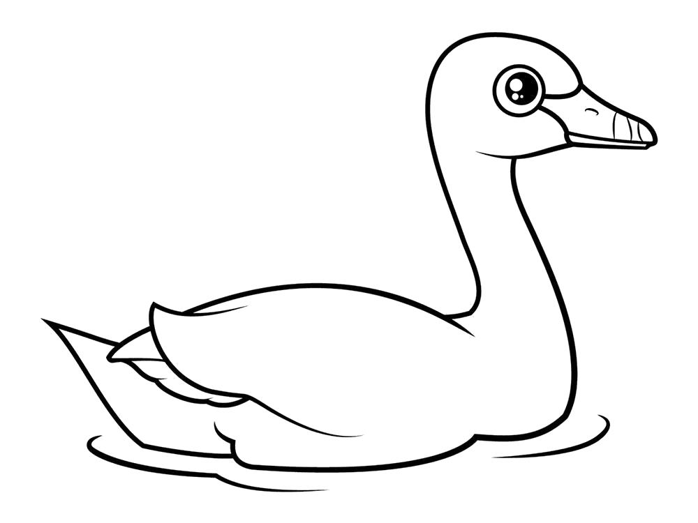 Раскраска Раскраска утка. Домашние животные