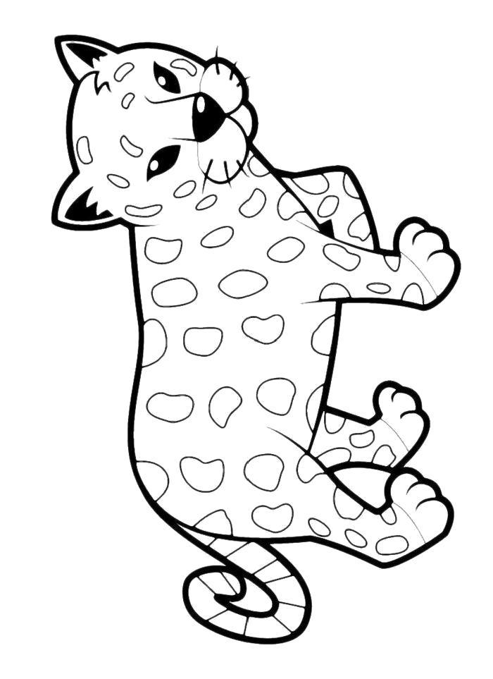Название: Раскраска Раскраска Маленький леопард. Категория: леопард. Теги: леопард.