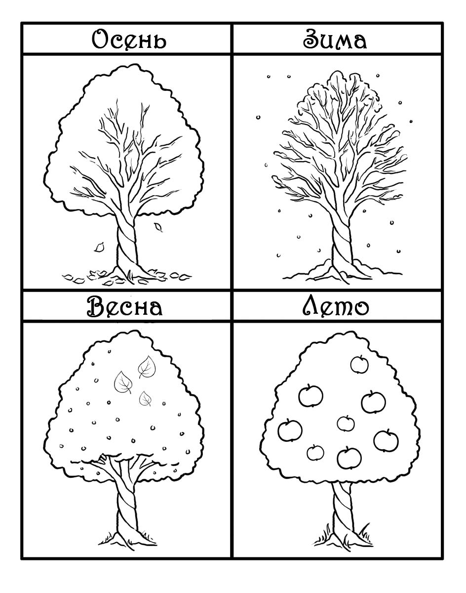 Раскраска Яблоня в разное время года. деревья