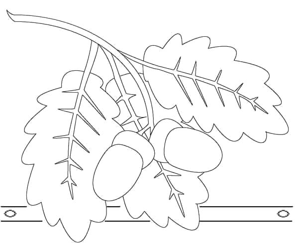 Раскраска осенний лист трафарет. растения