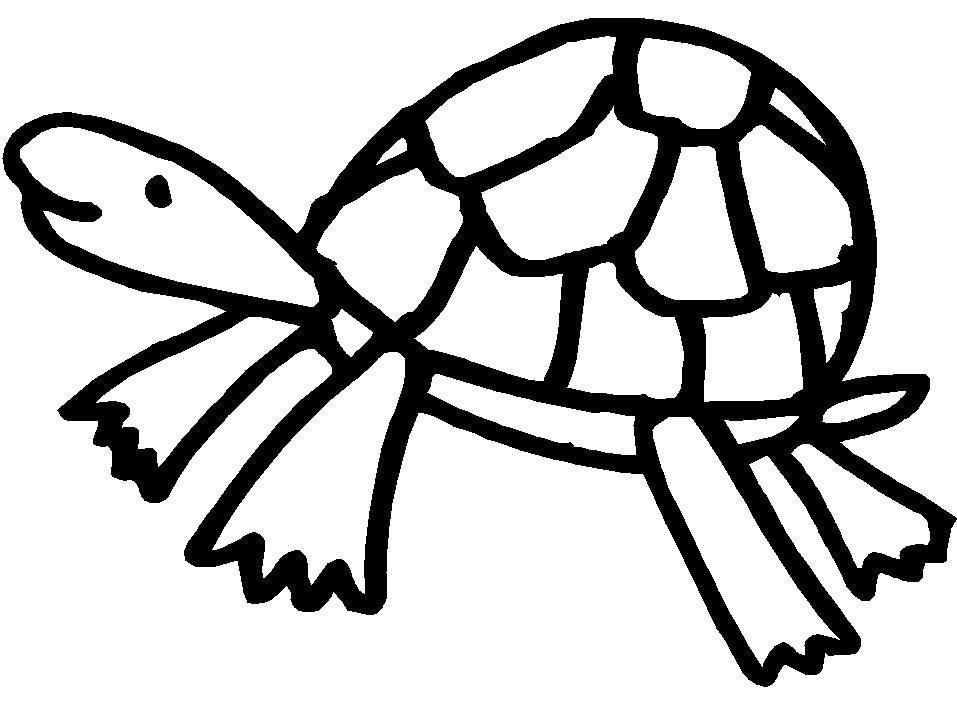 Название: Раскраска Раскраска для детей. Веселая черепашка. Категория: Дикие животные. Теги: Черепаха.