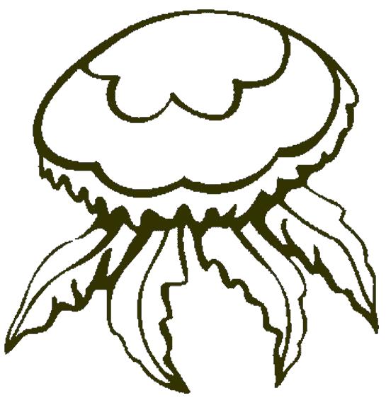 Название: Раскраска красивая медуза. Категория: Морские животные. Теги: медуза.