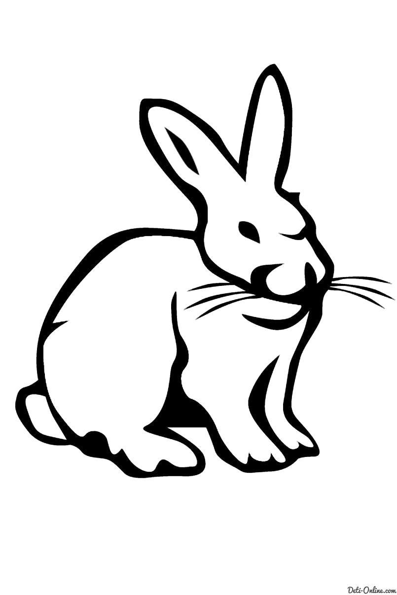 Раскраска  Заяц сидит на полянке ... Кролик с Морковкой . Скачать Заяц.  Распечатать Заяц