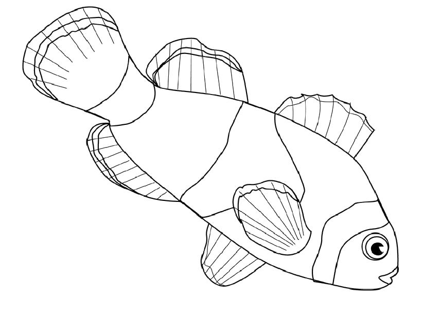 Раскраска Рыба клоун. Морские животные