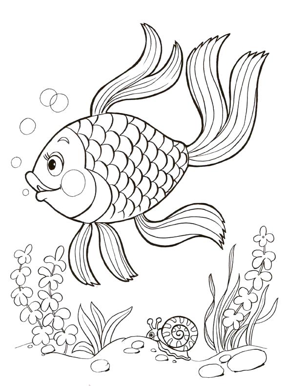 Раскраска золотая рыбка. Морские животные