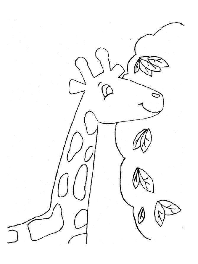 Раскраска Разукрашка жираф детская. Скачать жираф.  Распечатать жираф