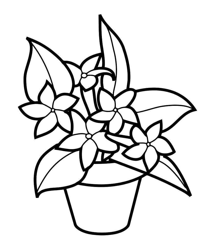 Первая иллюстрация к книге Растения. Раскраска для детей 2-4 лет