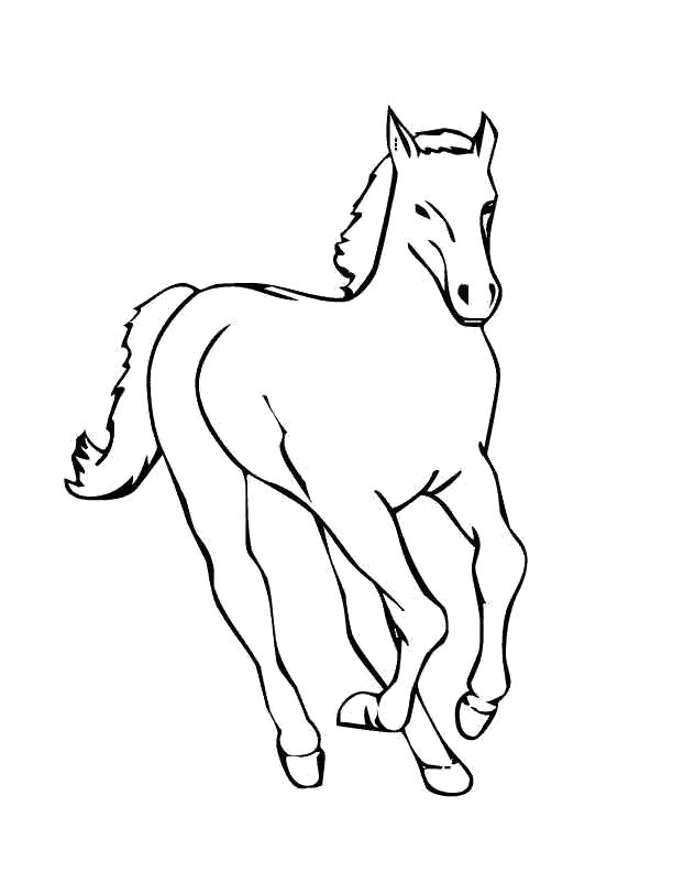 Название: Раскраска Бегущая лошадь. Категория: Лошади. Теги: Лошади.