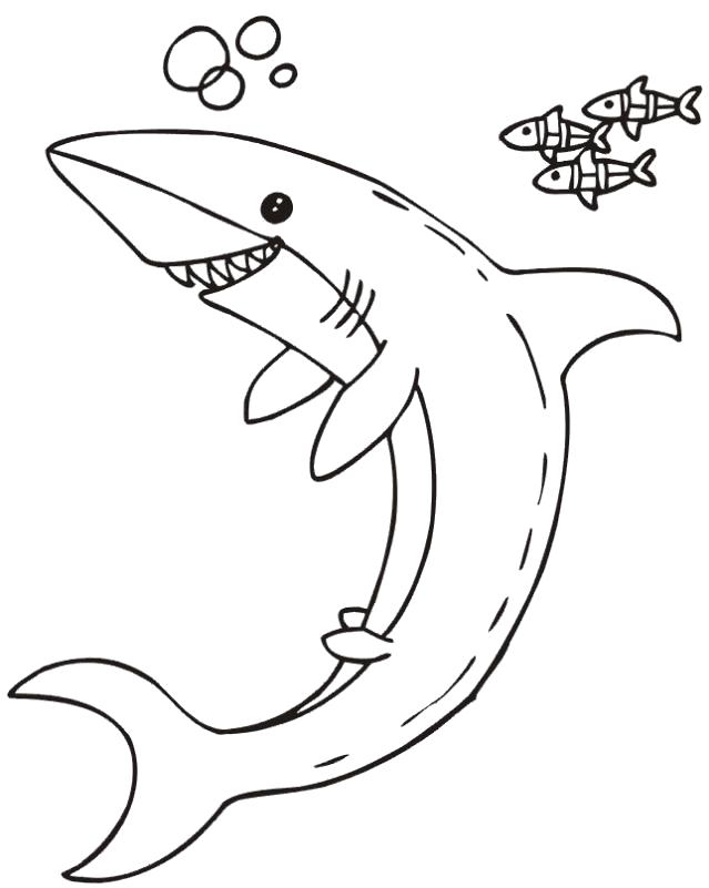 Раскраска Акулка. Скачать Акула.  Распечатать Морские животные