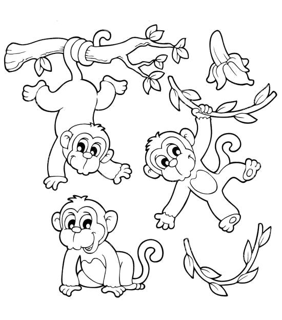 Раскраска Веселые обезьянки. обезьяна