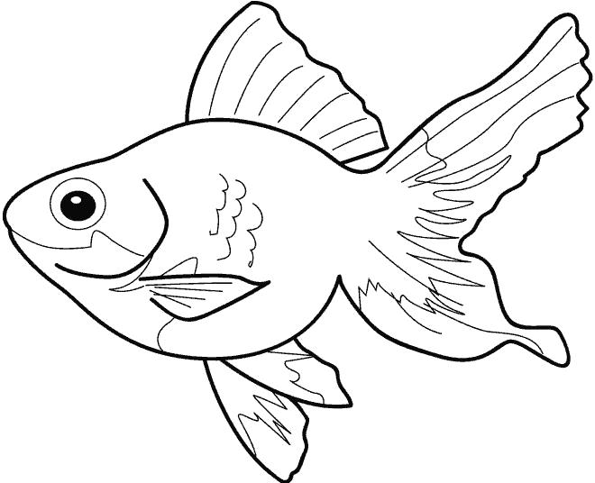 Раскраска Золотая рыбка. Скачать рыба.  Распечатать рыба