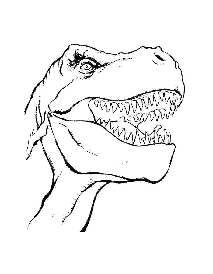Раскраска Раскраски динозавры, голова дино. динозавр