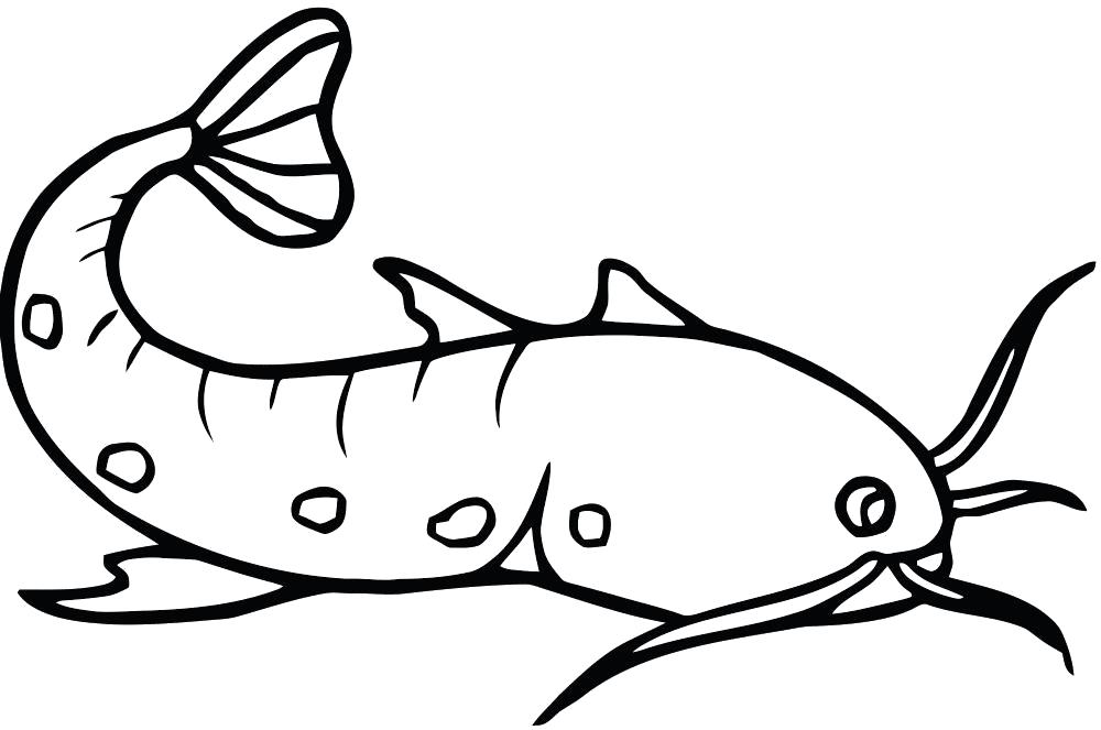 Название: Раскраска Усатик. Категория: рыба. Теги: рыба.