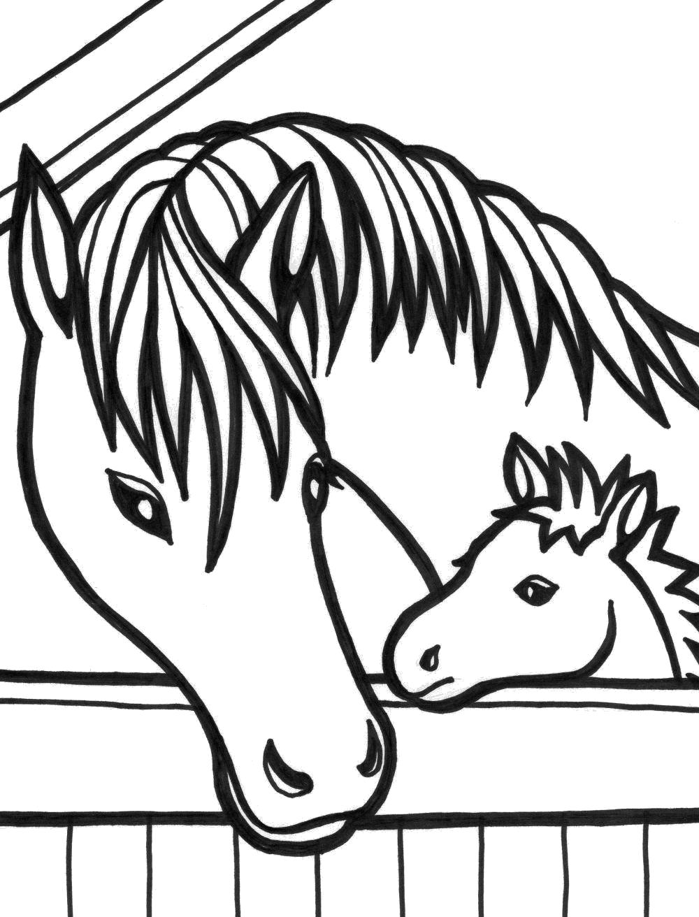 Раскраска Рисунки лошадей. Домашние животные