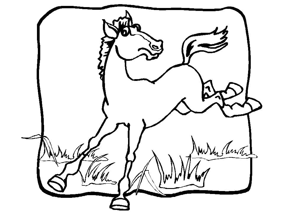 Раскраска Лошадка - . Скачать Лошадь.  Распечатать Домашние животные