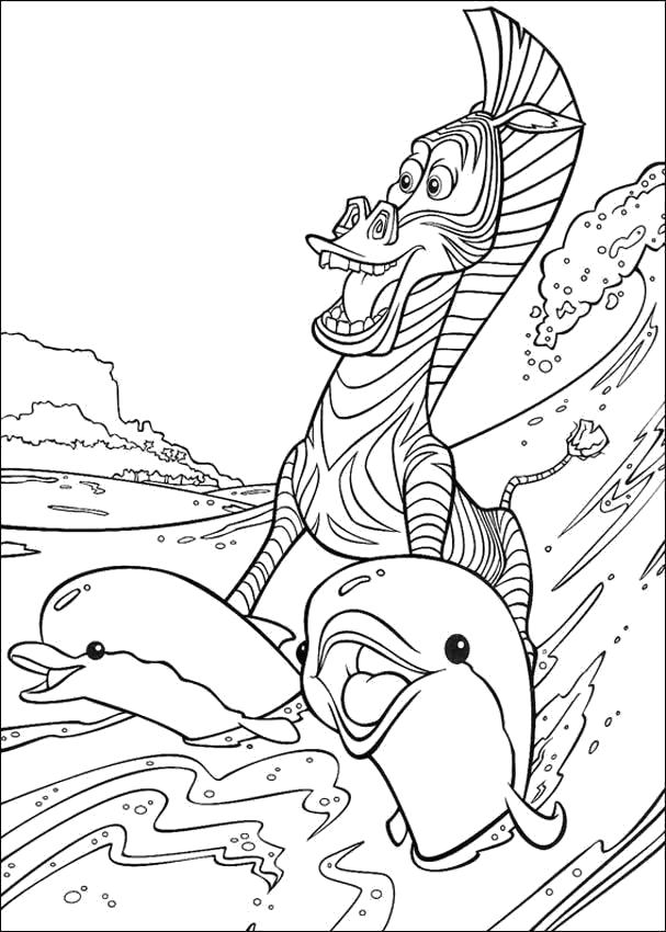 Раскраска Мультфильм Мадагаскар, зебра, дельфины, Зебра Марти катается на дельфинах. Скачать .  Распечатать 