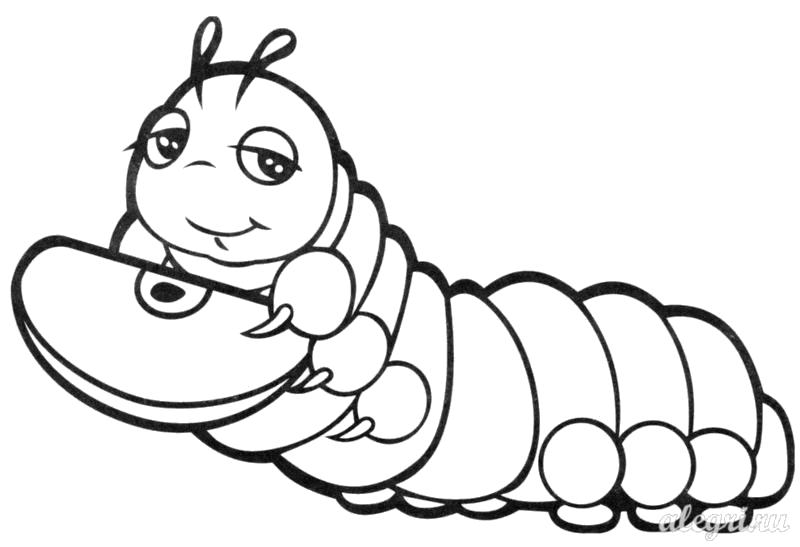 Название: Раскраска Раскраски "гусеница для малышей" скачать и распечатать бесплатно. Категория: Насекомые. Теги: Гусеница.