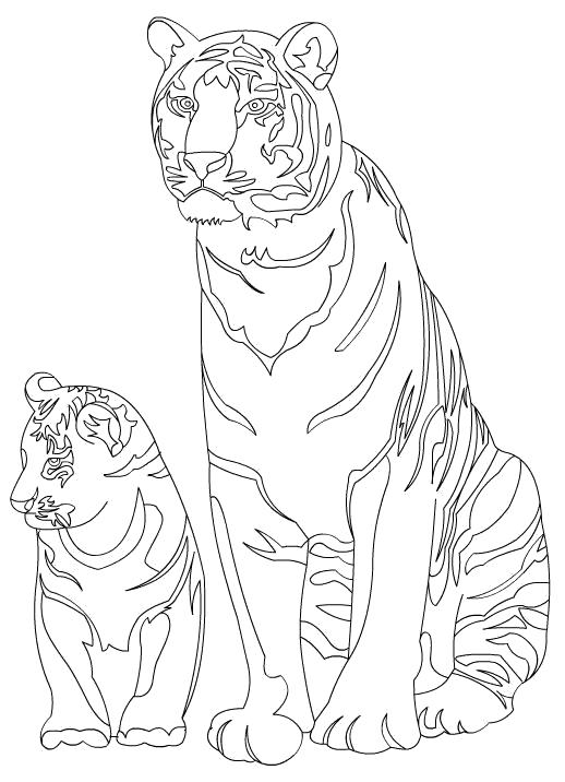 Название: Раскраска Тигр с детенышем тигрицей. Категория: Дикие животные. Теги: Тигр.