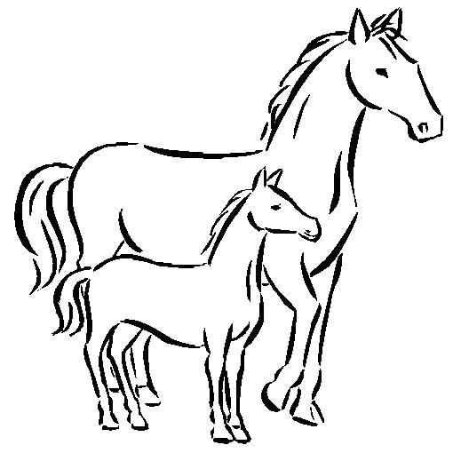 Раскраска  лошадь с жеребенком. Домашние животные