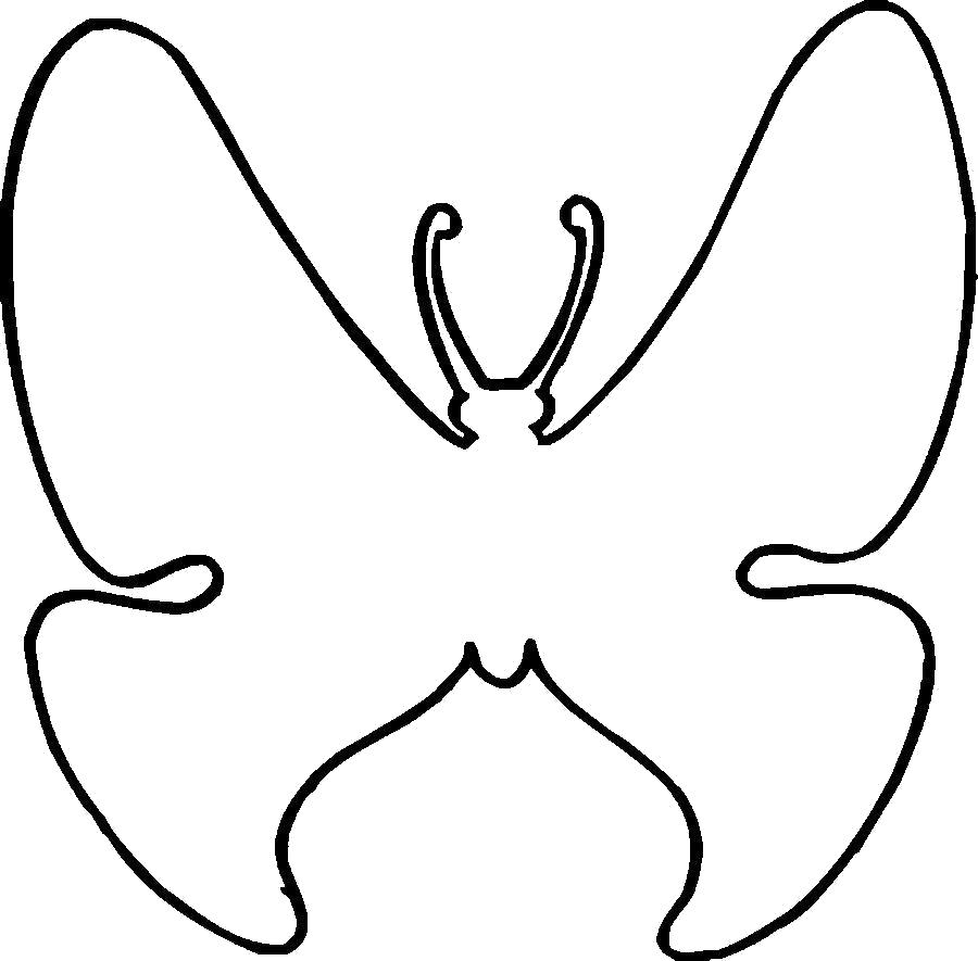 Название: Раскраска контур бабочки. Категория: Бабочки. Теги: Бабочки.