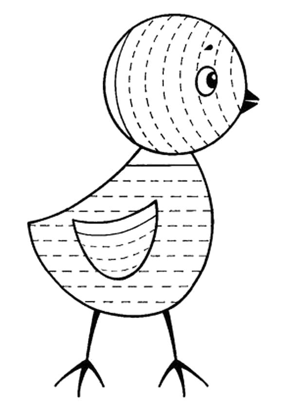 Раскраска штриховка птичка. Прописи с рисунками