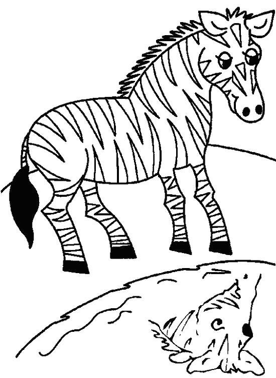 Раскраска Раскраски зебра зебра, вода, природа, раскраски для детей. Дикие животные